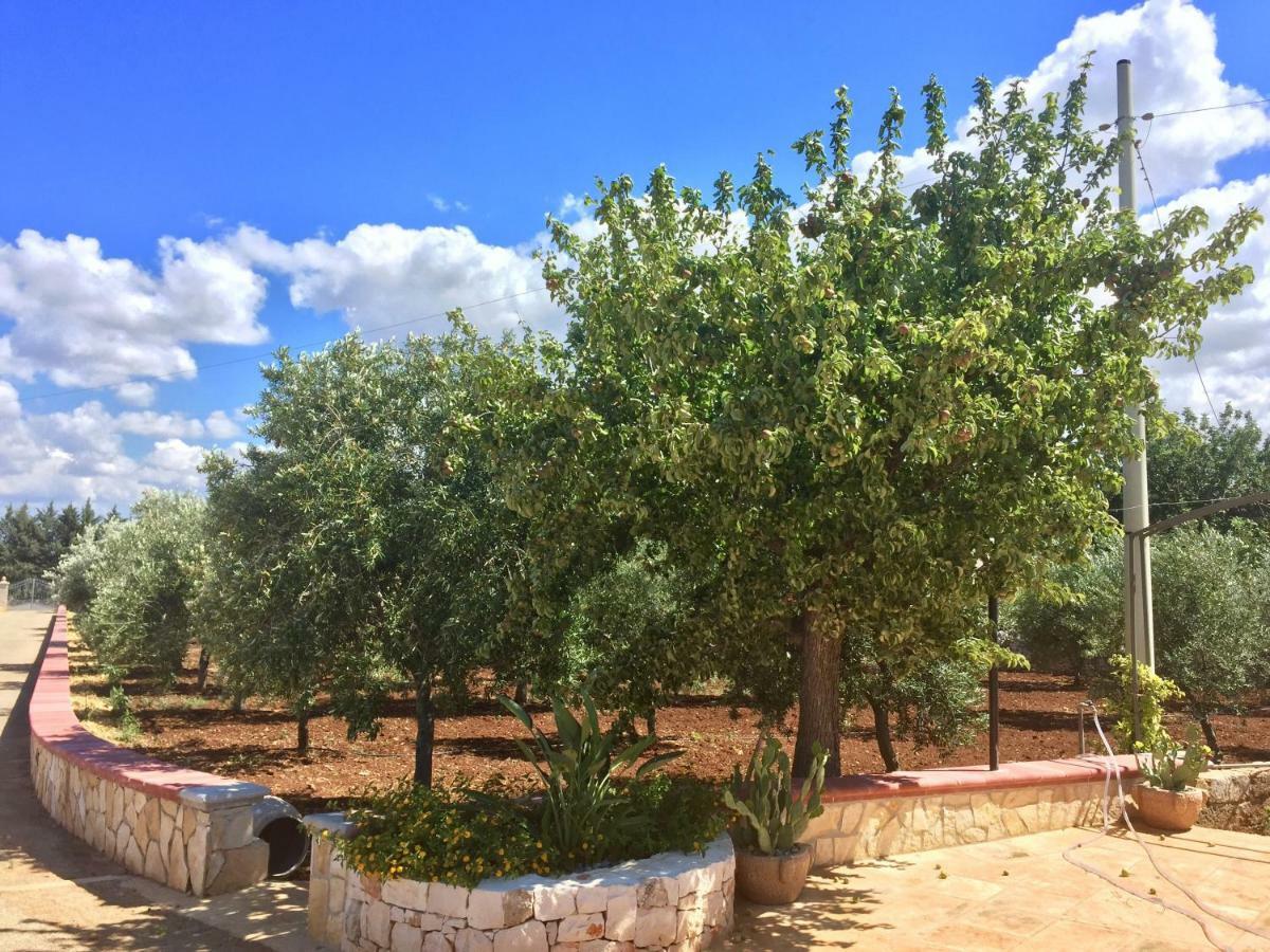I Trulli Di Gina Appartamento Trullo 6 Persone Monopoli Exterior foto